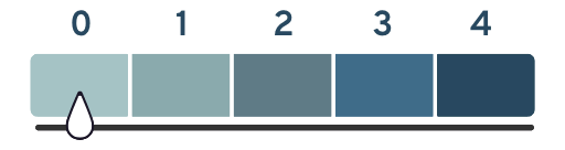 VA evaluators then assign a scale to the different components of cognitive impairment. The scale goes from 0-4.